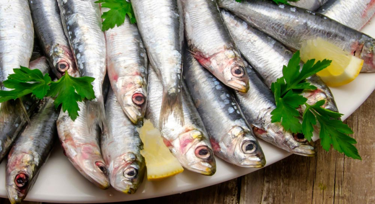recettes r&eacute;gime m&eacute;dit&eacute;rraneen et om&eacute;ga 3