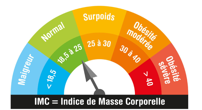Comprendre le surpoids et conna&icirc;tre l'IMC
