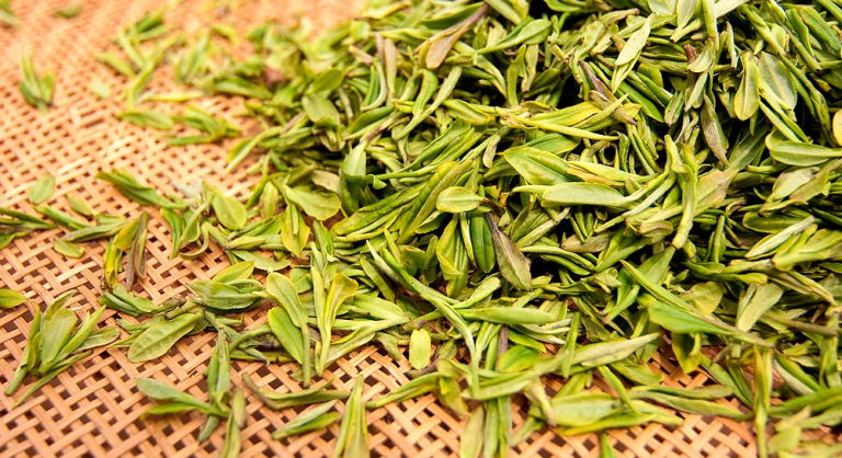 s&eacute;chage des feuilles de th&eacute; vert